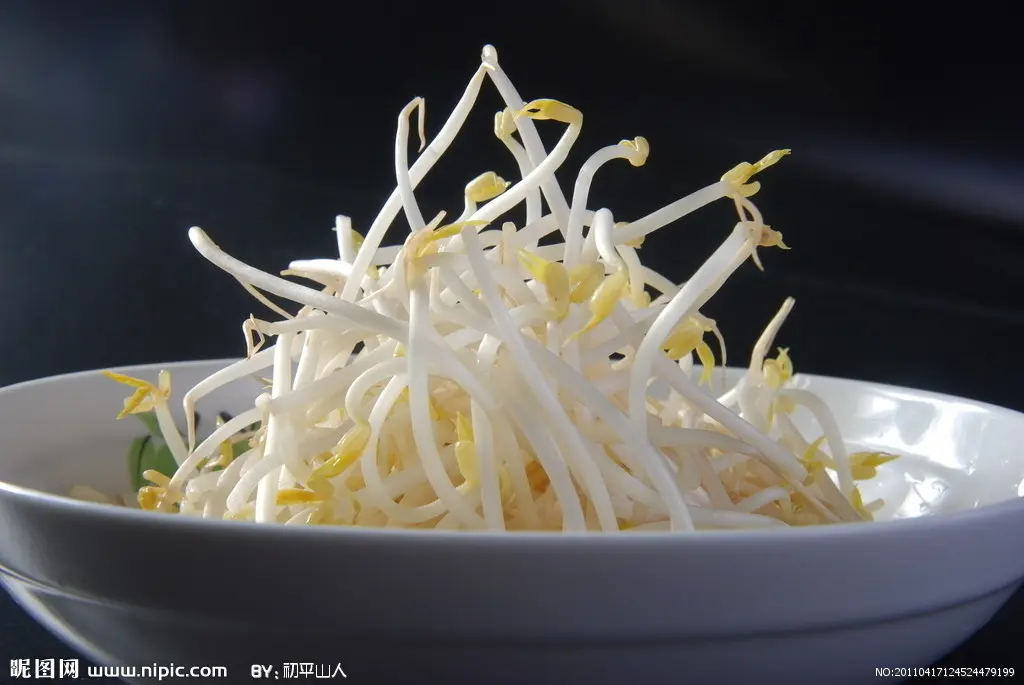 豆芽GERMOGLI DI SOIA