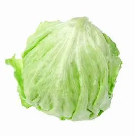 球菜/CABBAGE