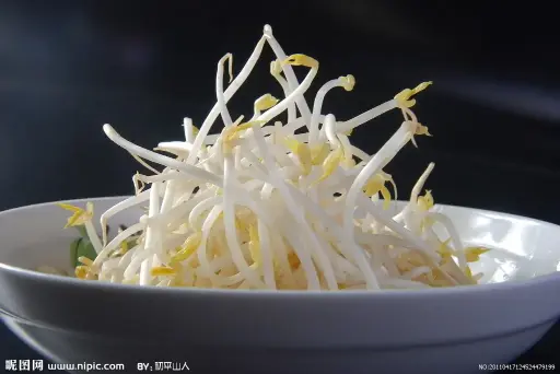 [G-030] 豆芽GERMOGLI DI SOIA