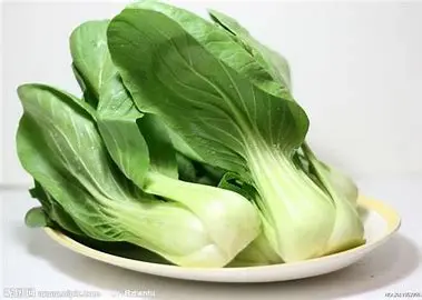 [G-012] 小白菜/VEGETABLES